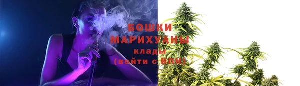 дмт Надым