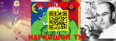 прущие крисы Абакан