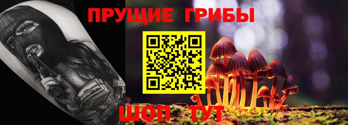 Алапаевск  Псилоцибиновые грибы Psilocybe  закладки  Вход с VPN 